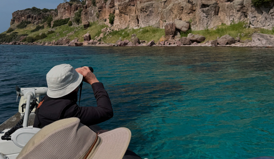 Birdwatching in Lesvos by Boat: Discover the birds of Lesvos on a private cruise. Spot flamingos, herons, kingfishers & more with Fish&Chill Private Cruises. A peaceful, eco-friendly experience for nature lovers.