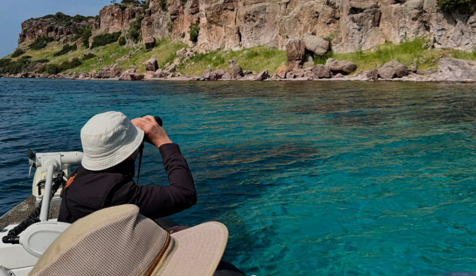 Παρατήρηση Πουλιών στη Λέσβο με Σκάφος: Ανακάλυψε τα πουλιά της Λέσβου με ιδιωτική κρουαζιέρα. Παρατήρησε φλαμίνγκο, ερωδιούς, αλκυόνες & άλλα με την Fish&Chill Private Cruises. Ήσυχη, οικολογική εμπειρία για φυσιολάτρες.