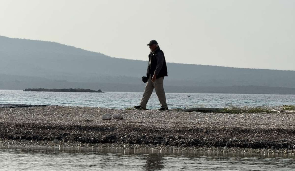 Birdwatching experience in Lesvos