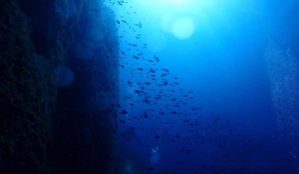 snorkeling in secret sea caves