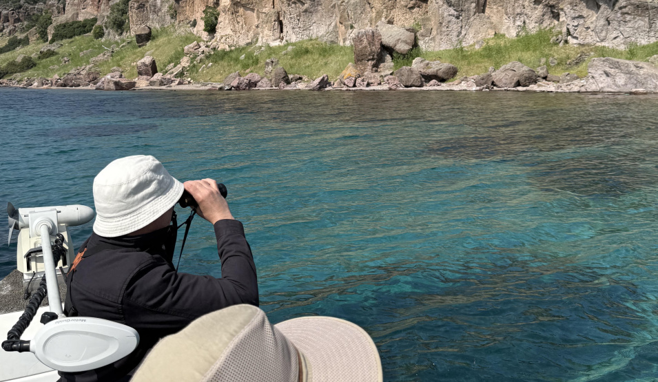 Birdwatching Lesvos Island