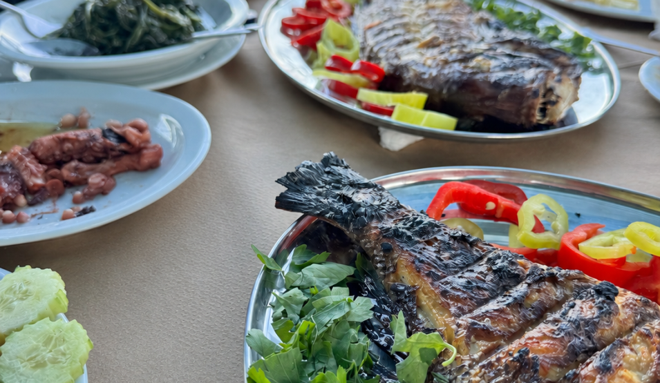 fishing experience in lesvos fresh sea food