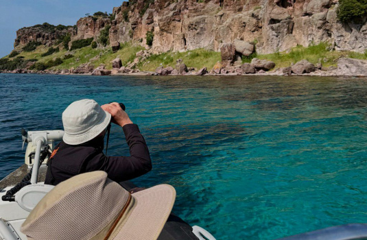 Παρατήρηση Πουλιών στη Λέσβο με Σκάφος: Ανακάλυψε τα πουλιά της Λέσβου με ιδιωτική κρουαζιέρα. Παρατήρησε φλαμίνγκο, ερωδιούς, αλκυόνες & άλλα με την Fish&Chill Private Cruises. Ήσυχη, οικολογική εμπειρία για φυσιολάτρες.