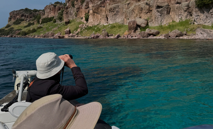 Birdwatching in Tokmakia