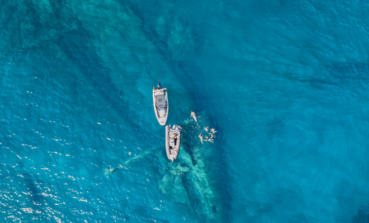 boat trips in lesvos